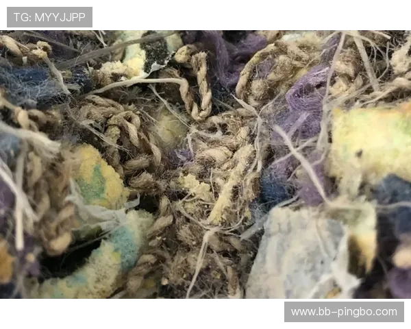 回场规则差异解析：NBA与FIBA如何判定